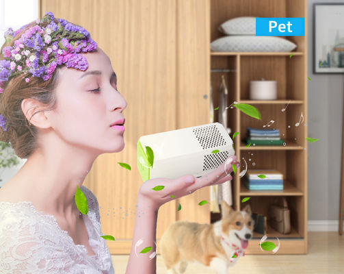 छोटे कमरे शौचालय रसोई वायु शोधक एलर्जेन पराग और गंधों को हटाने के लिए एकदम सही