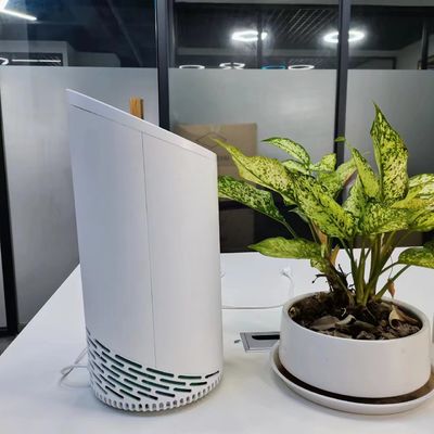शीत प्लाज्मा सक्रिय कार्बन फिल्टर और निजी मोल्ड के साथ 220V HEPA पालतू गंध फिल्टर