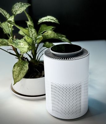 आतिशबाजी के पाउडर कणों को खत्म करने के लिए स्पर्श नियंत्रण के साथ HEPA से लैस प्लाज्मा एयर स्टेरिलाइज़र